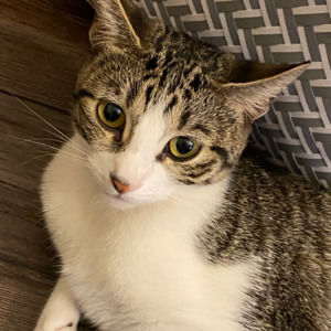 Meet your Posher, Nicole